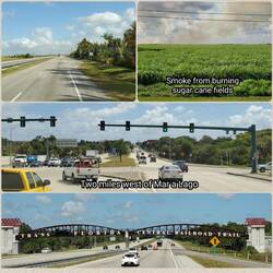 On the road to Mims, Florida
