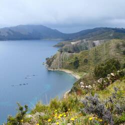 Üppige Vegetation: In Südamerika wachsen auch auf über 3'800 Metern noch Bäume
