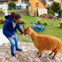 Roseline macht es da etwas geschickter. Vielleicht sind die putzigen Tiere aber auch schon gesättigt