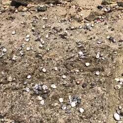 Die haben noch nix vom Corona-Abstand gehört 😂