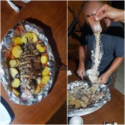 Fisch ... jeden Tag ein Fisch