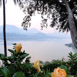 Morgens am Mekong
