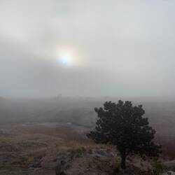 Early morning view ... can barely see the machines that are grading the land.