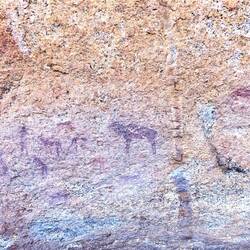 2000-4000 year old Bushman paintings