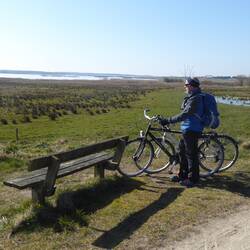 Cykeltur rundt om Vilsted sø