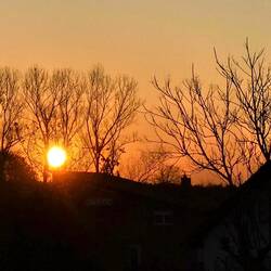 Good morning Easter week 🐇🐣👯!