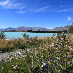 Lake Tekapo