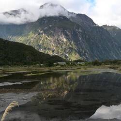 Freshwater Basin reflections