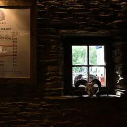 First winery, Wet Jacket. Tasting room built around the old sheep shed.