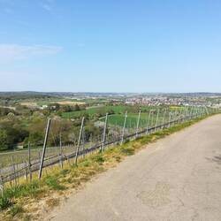 Blick auf Knittlingen