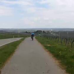 Rasant geht's bergab