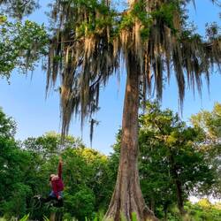 Cypress Lake Campground