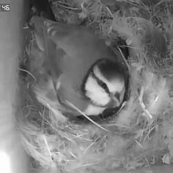 In die Luft gucken 1