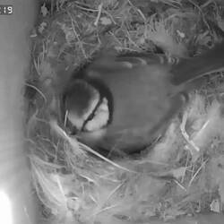 In die Luft gucken 2
