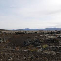 Rauðukulur