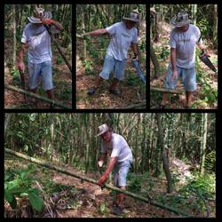 Baumfäller im Bambuswald