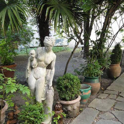 Backyard garden