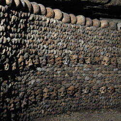 Wall made of skulls