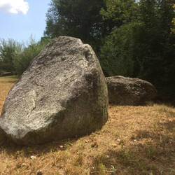 ... und so han i no ebbis glehrt uf mynere Reis ...