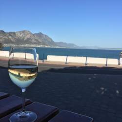 Wine and dolphin watching