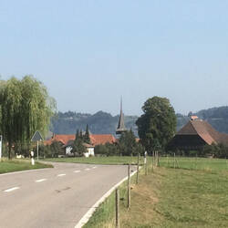… e letschte Bligg zrugg, denn vorne muess i e Entscheidig träffe …