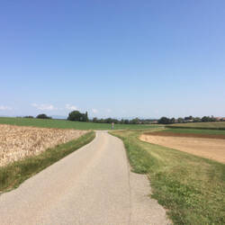 … Monika weisch no, am früehe Morge „bip-biipp“ und e soone Gümmeler het uns do yberholt …