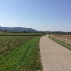 … aber irgendainisch bin i doch no uf em alte Bärnerwäg aakoo …