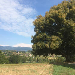 … e Päusli an däm scheene Ort ka nit schade …