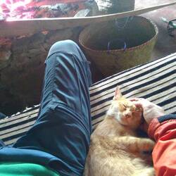 *meow*