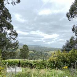 Noch die Aussicht vom Ferienhaus