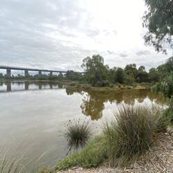 Wie schön "pink" der See doch ist 😅