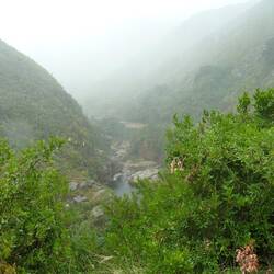 A misty start out of Swellendam