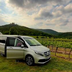 Stellplatz auf Weingut Hambach