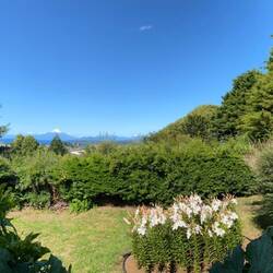 ....er ist einfach genial...