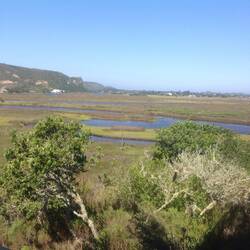 The Bitou River Valley towards the coast