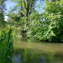 The small brook "Pfinz" near the village Graben!
