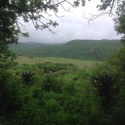 Fugitive's Drift Reserve from our verandah