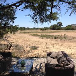 The Vlei from our dining table