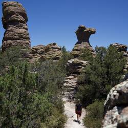 Schreibt doch mal drunter, was ihr in den folgenden Steinskulpturen erkennt!