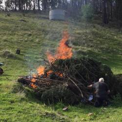 Arsonist at work.