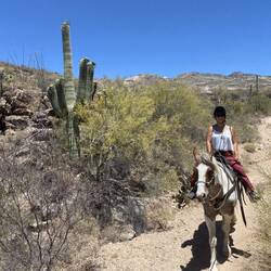 Hoch zu Ross im Saguaro NP