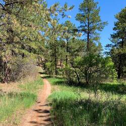 Oops ... heading in the wrong direction. This path goes to the USAFA golf course ... CoSprings, CO.