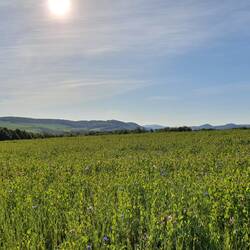 Morgenstimmung nach dem ersten Anstieg