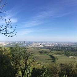 Was für ein Blick auf ganz Wien