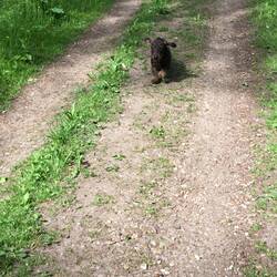 Henry ist auch mit