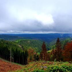 Der Triniusblick
