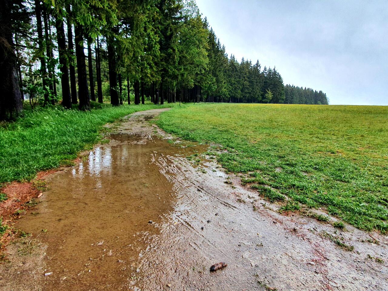 Schwimmsachen vergessen 🤷🏼‍♂️