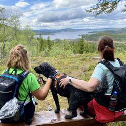 Fin utsikt ut over Lustadvatnet