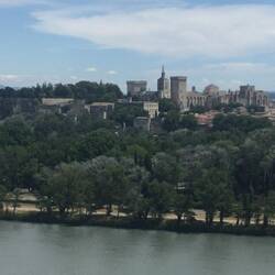 Avignon