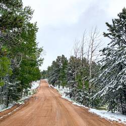Snow-frosted scenery along washboardy FSR 309 en route to Farish — Woodland Park, C